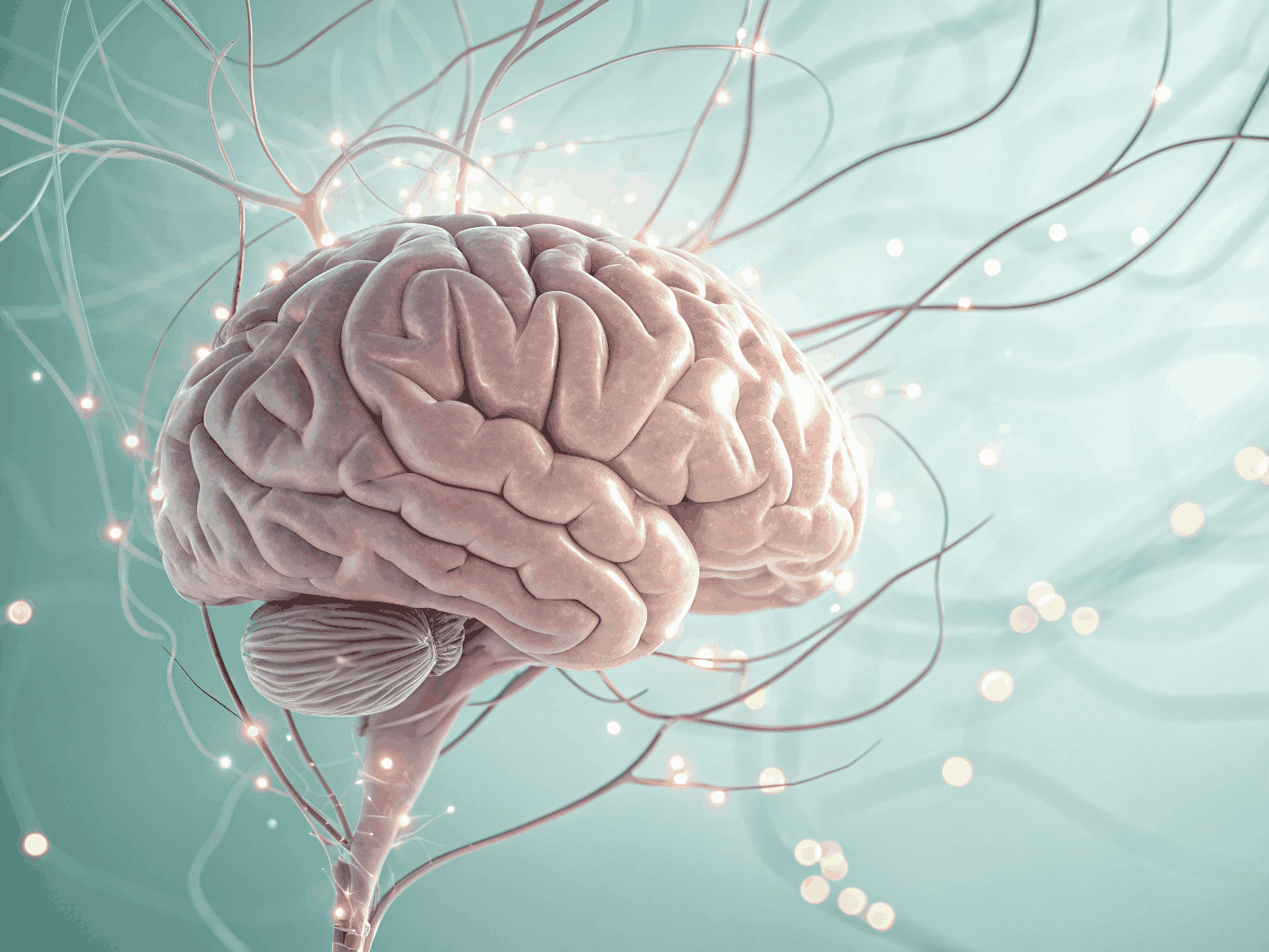 Dr Samuel Counselling, Therapy & Neurofeedback - Professional clinical environment in Vancouver