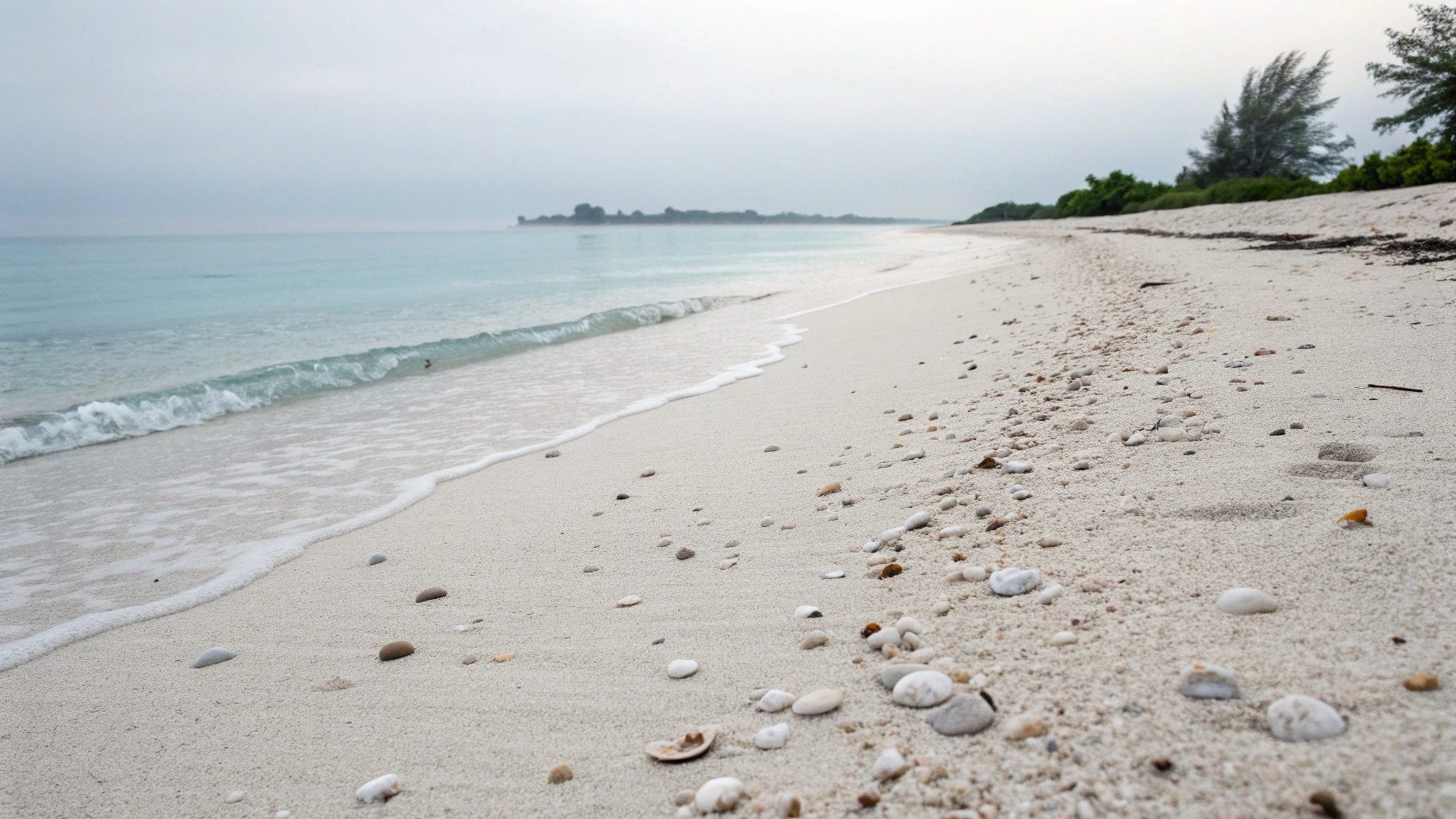 Serene ocean tide representing tranquility and nervous system regulation
